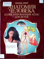 Анатомия человека Иллюстрированный атлас для детей Ричард Уокер читать онлайн