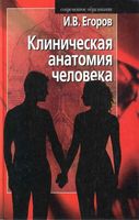 Клиническая анатомия человека Егоров читать онлайн