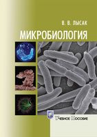Учебное пособие Микробиология Лысак читать онлайн
