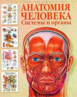 Анатомия человека Системы и органы Лучшие в мире анатомические таблицы Бехен читать онлайн