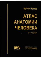 Атлас анатомии человека Неттер Фрэнк читать онлайн
