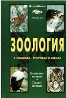 Зоология в таблицах схемах и рисунках Резанов скачать бесплатно