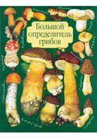 Большой определитель грибов Юдин скачать бесплатно