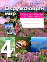 Окружающий мир 4 класс Тетрадь для тренировки и самопроверки Чудинова скачать бесплатно