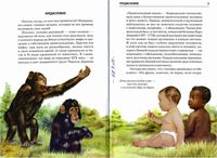 Происхождение человека Школьный путеводитель Рябинина скачать бесплатно