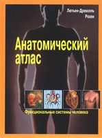 Анатомический атлас Функциональные системы человека Лютьен-Дреколль Рохен читать онлайн бесплатно