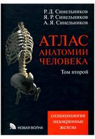 Атлас анатомии человека Синельников Том 2 читать онлайн бесплатно