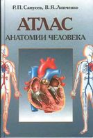 Атлас анатомии человека Самусев Липченко читать онлайн бесплатно