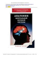 Анатомия центральной нервной системы Воронова Климова Менджерицкий читать онлайн бесплатно