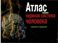 Атлас Нервная система человека Строение и нарушения Астапов Микадзе читать онлайн бесплатно
