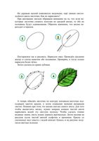 Учимся рисовать листья читать