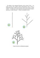 Учимся рисовать деревья читать